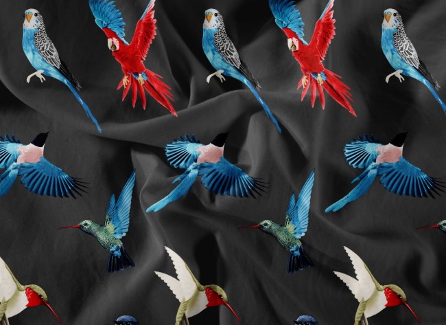 Posciel bawelniana 200x200 world bird ptaki detal-nadruku-papugi-na-czarnej-poscieli-zblizenie
