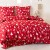 Komplet Poscieli Dwuosobowej Swiateczna Elegancja 200x200 cm z 2 Poszewkami 70x80 bawelna 100% super jakosc, dziecieca, czerwona