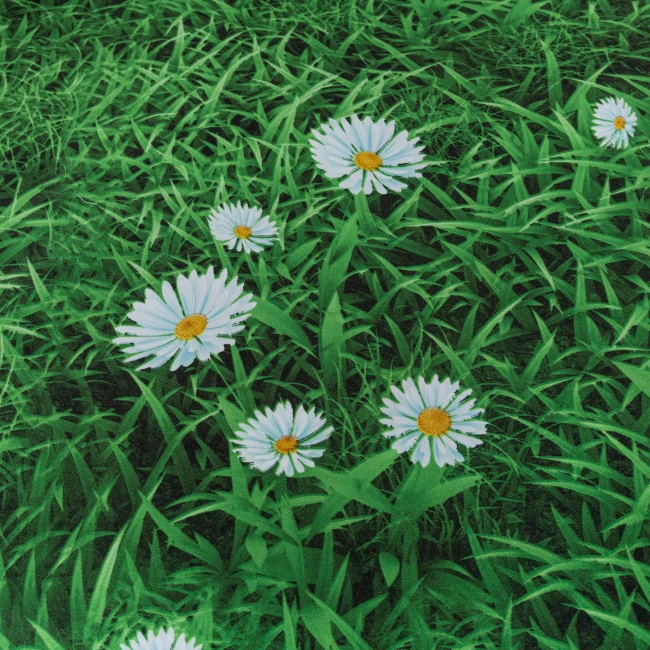 detal-nadruku-stokrotek-pościel-220x200-mikrowłókno